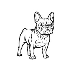 standing dog vector photo and logo animal wallpaper jpg . black and white dog icon theme.