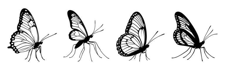 detailed set of butterflies sitting on leaves and flowers delicate wing patterns and elegant insect silhouettes perfect for nature designs ecology and spring themes