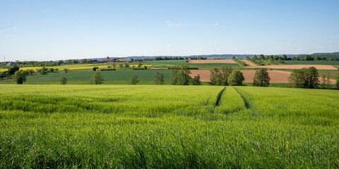 Backnang