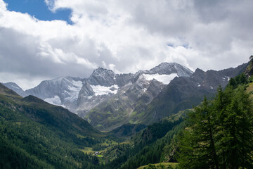 Rocky snowcapped mountain tops and glaciers in Italy with a green forest foreground