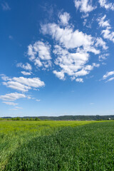 Allmersbach im Tal