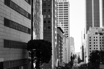 Big city downtown buildings