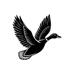 A duck is flying vector illustration of a flying bird