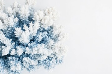 A close-up showcases a cluster of white and blue coral on a pristine white surface, with ample space for text.