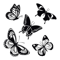 Black Butterfly Silhouette Set 