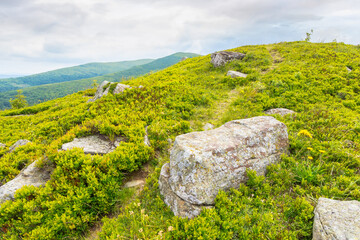 trail through green grassy hill. carpathian mountain landscape in summer. alpine highlands of ukraine on a cloudy day. travel background of smooth mountain
