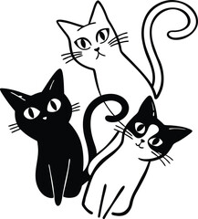 black and white cats