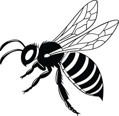 vector illustration of a bee
