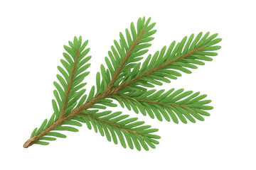 Detailed fir branch illustration, vibrant green needles, transparent background, highlighting botanical precision for design projects