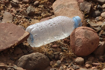 A single empty plastic bottle lying on the ground, Environmental pollution