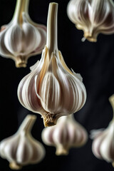 Close-up of garlic heads on a black background