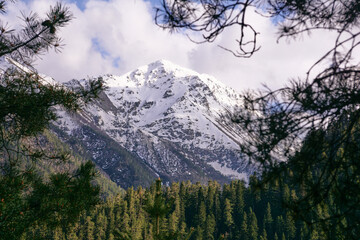 a mountain peak covered with snow in clouds above a coniferous forest