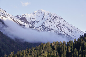 Fototapeta premium a cloud over a forest and a snowy mountain peak during sunset