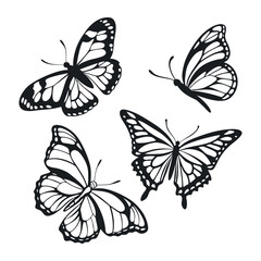 Black Butterfly Silhouette Set 