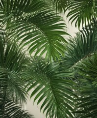 Intricate green palm leaf texture, vibrant tropical foliage , jungle, closeup, palm frond
