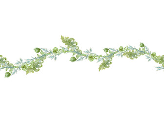 Seamless border of a lush fern fronds. Hand-drawn watercolor horizontal line on white background. Floral repeatable fern pattern for printing on fabric, clothes, wallpapers, wrap paper package, etc.