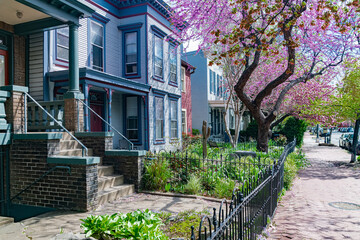 Historic Townhomes in Capitol Hill, Washington. Vibrant facades and traditional urban design.