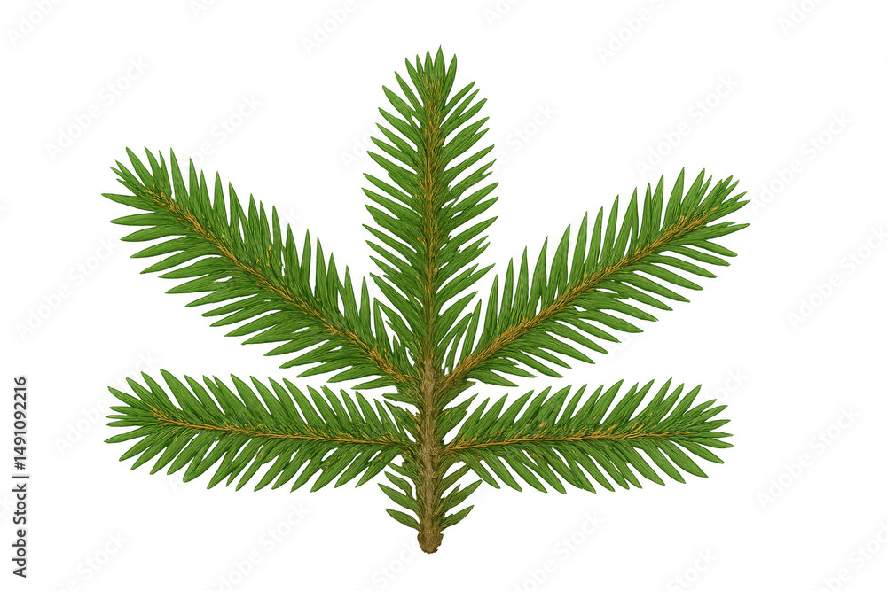 Poster realistic 3d rendering of a fir branch with transparent background, perfect for christmas or nature-