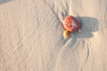close up of sea stones on a beach