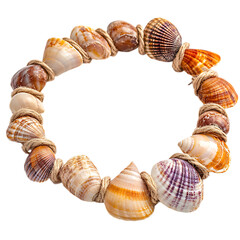 Rustic Shell Bracelet with Uneven Naturally Shaped Isolated on Transparent Background