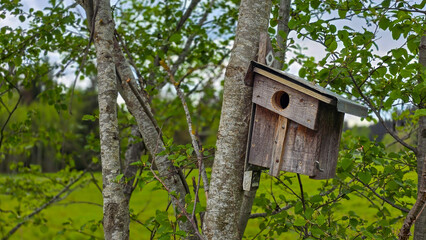 Handmade wooden bird house on the tree. in horizontal format