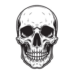 Fototapeta premium Hand drawn human skull on white background. Design element for poster