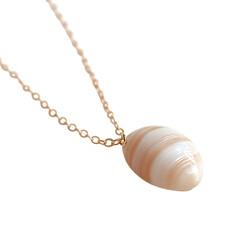 Trendy Minimalist Shell Necklace Featuring One Smoo Isolated on Transparent Background