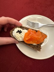 Sandwich of black bread, red fish and soft cheese on plate on red background. Vertical