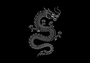 Fototapeta premium Midnight Dragon's Embrace