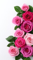 Obraz premium An arrangement of vibrant pink and red roses with lush green leaves creates a beautiful floral border against a clean white background, offe a simple elegance.