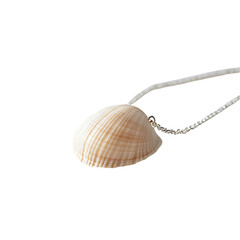 Elegant Minimalist Shell Necklace Featuring One Lus Isolated on Transparent Background