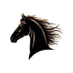black horse head photo. horse silhouette vector photo jpg png image, black horse .