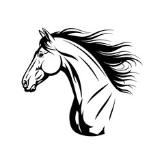 black horse head photo. horse silhouette vector photo jpg png image, black horse .