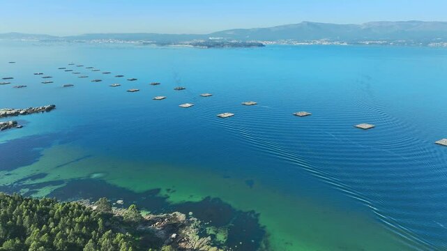 Mussel farms in Arousa river of Rias Baixas aerial view of rafts