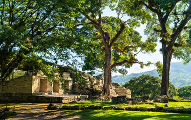 Temple 22 in the jungle forest in the East Court of the Copan Ruins. UNESCO world heritage in Honduras