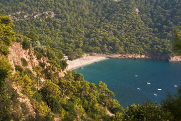 Obraz premium Serene mediterranean beach cove with lush green hills and calm blue waters
