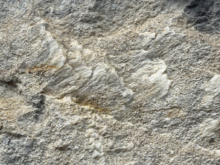 Close-up of natural limestone texture with white mineral veins