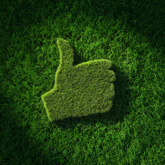 World Environment Day