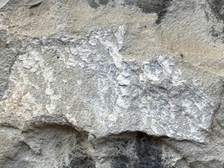 Textured limestone surface with natural weathering patterns