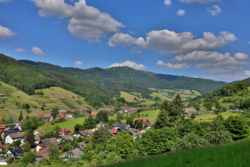 Glottertal bei Freiburg im Frühling