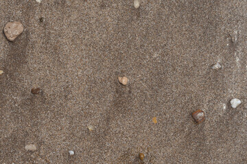 Texture of beach sand with sea debris.