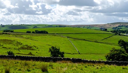 Rolling green hills with grazing animals under a cloudy sky