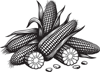 Three ears of corn in black and white line art style illustration