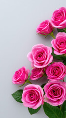 Obraz premium A beautiful arrangement of vibrant pink roses with lush green leaves creates an elegant floral display against a soft, neutral gray background providing contrast.
