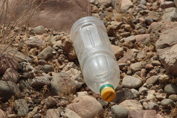 Obraz premium A single empty plastic bottle lying on the ground, Environmental pollution