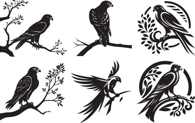 Three elegant black and white falcon silhouettes perched on branches