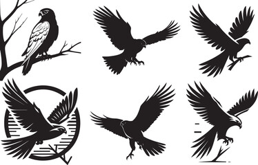 Three elegant black and white falcon silhouettes perched on branches