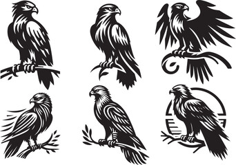 Six unique black and white hawk and eagle illustrations perched on branches