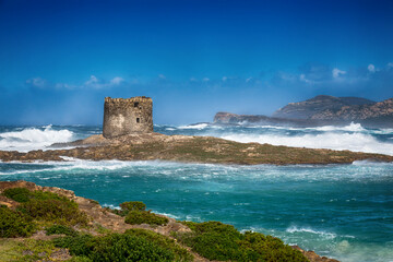 La Pelosa Stintino, Italy, Sardynia © IZABELA