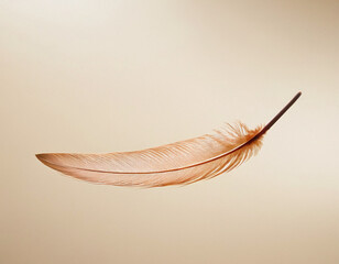 Minimalistic soft feather floating lightly with clear, clean light accents, conveying delicacy and...